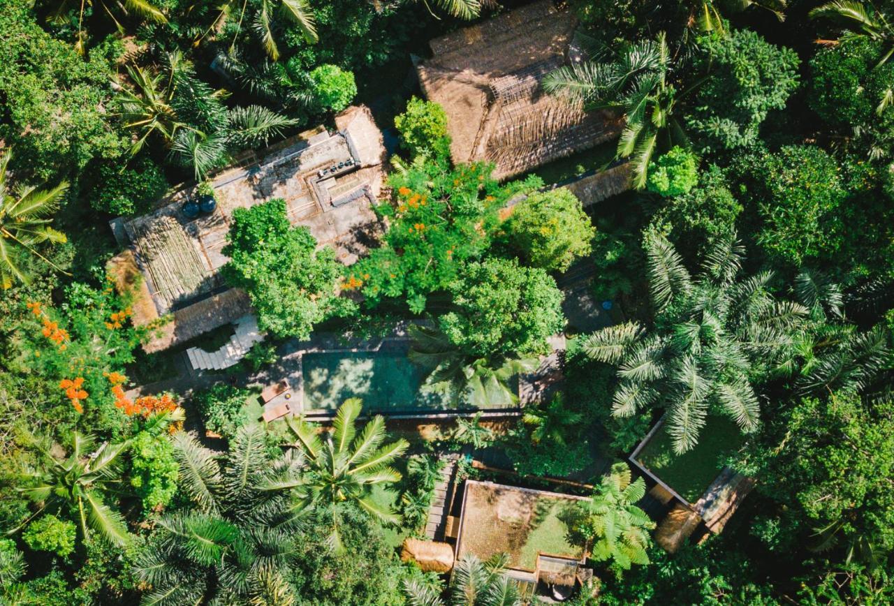 Villa Rimba Ubud Tegallalang  Ngoại thất bức ảnh