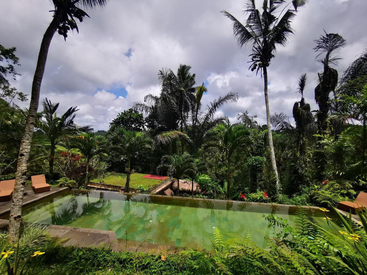 Villa Rimba Ubud Tegallalang  Ngoại thất bức ảnh