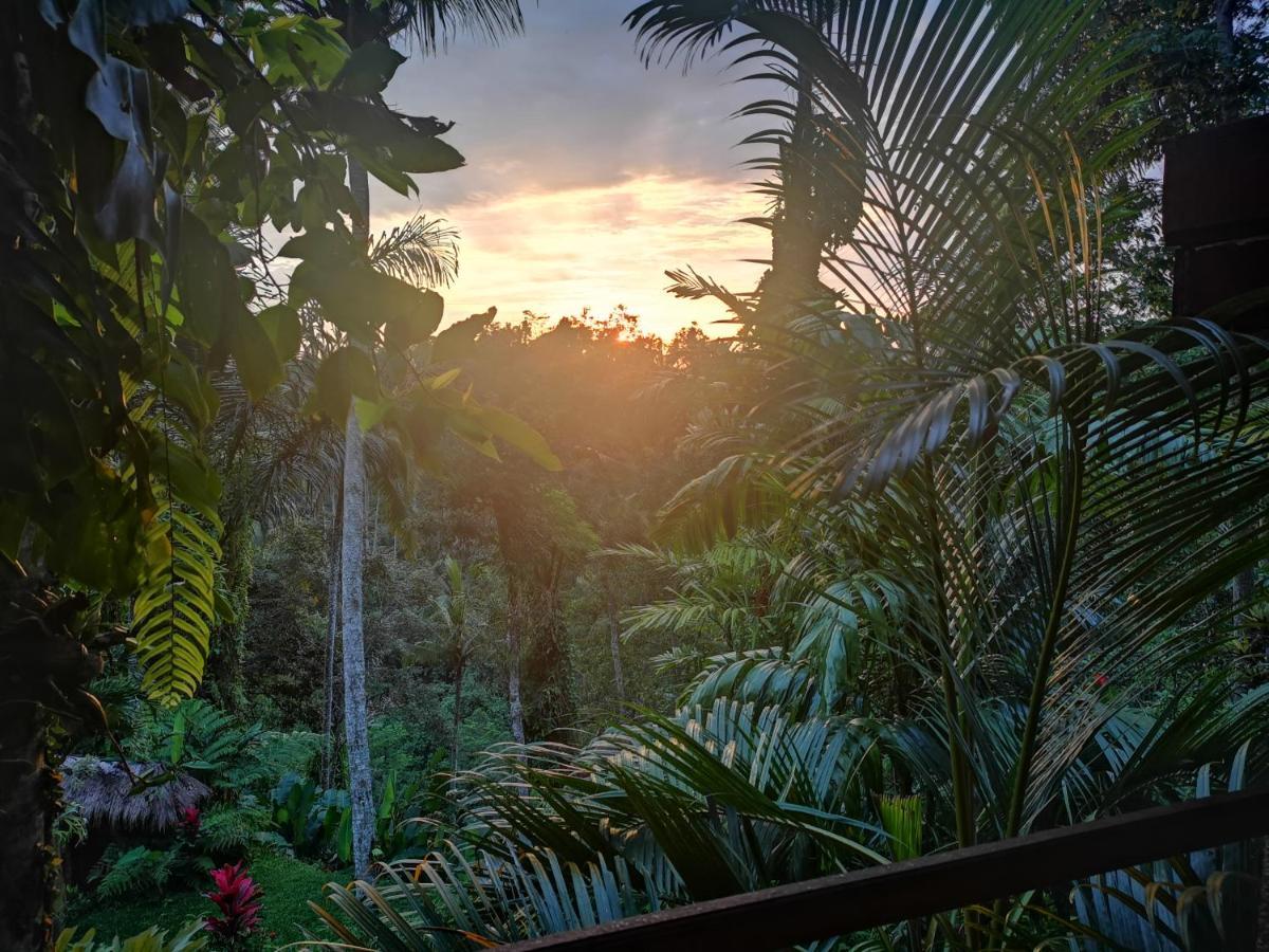 Villa Rimba Ubud Tegallalang  Ngoại thất bức ảnh