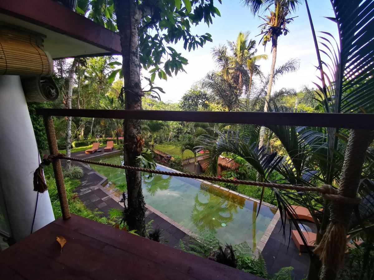 Villa Rimba Ubud Tegallalang  Ngoại thất bức ảnh