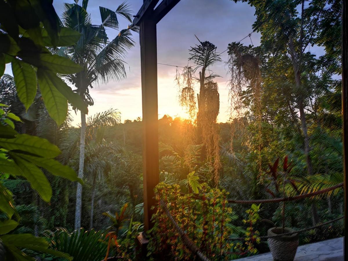 Villa Rimba Ubud Tegallalang  Ngoại thất bức ảnh
