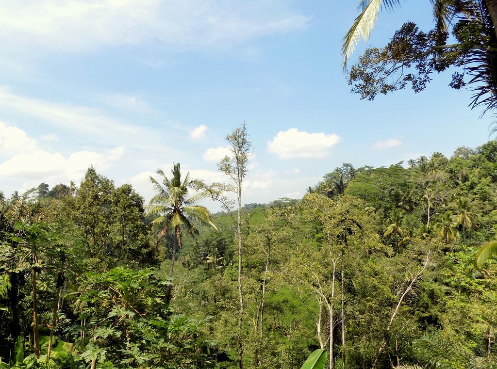 Villa Rimba Ubud Tegallalang  Ngoại thất bức ảnh